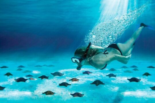 Snorkel Tour in Cozumel