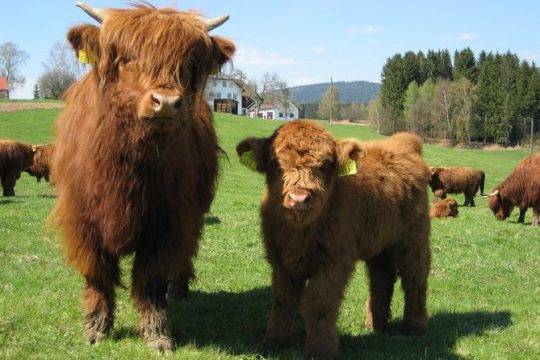 Easter in The Scottish Highlands