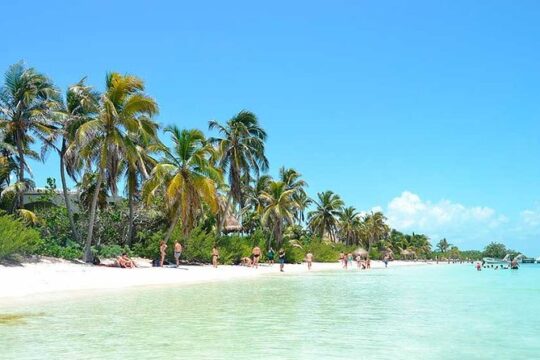 Isla Contoy Hidden Beauty! With Round Transportation From Cancun & Riviera Maya