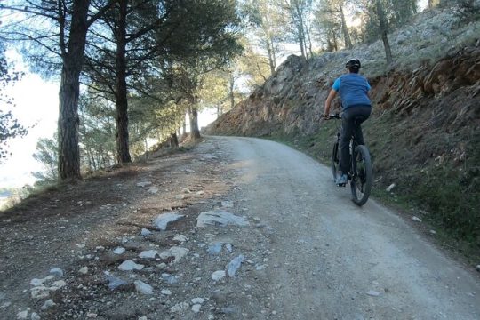 E-bike rent Sierra de las Nieve (Alozaina). Free GPS tracks and App included.