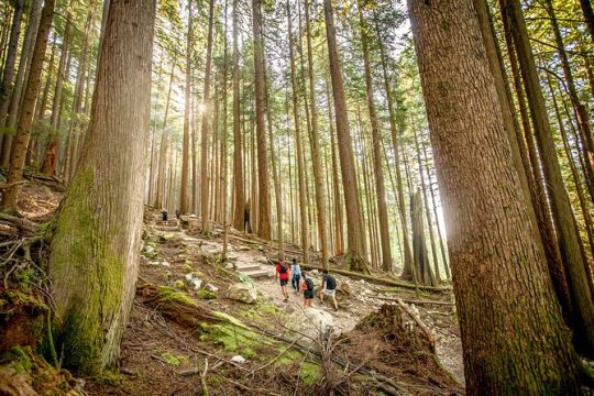 Full Day Guided Vancouver Hiking Highlights Day Tour