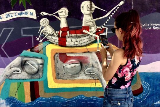 Playa del Carmen Private Street Art Tour