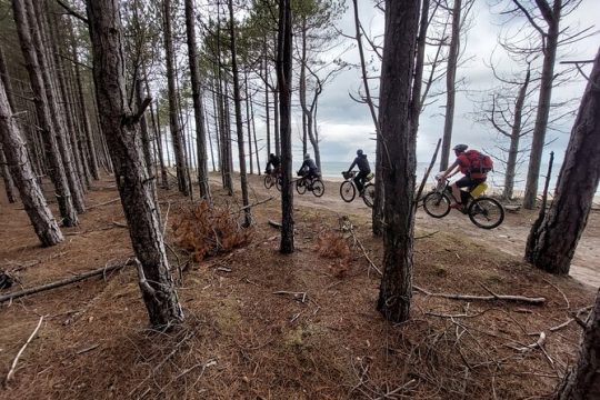 2 Days Private Guided Bikepacking in Cairngorm National Park