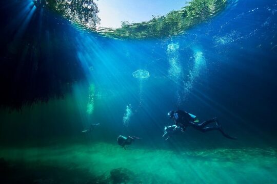 Discover Scuba Diving in cenote Casa including underwater video!
