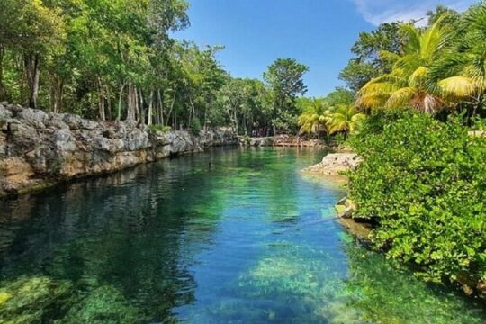 Cenotes Casa Tortugas Tour