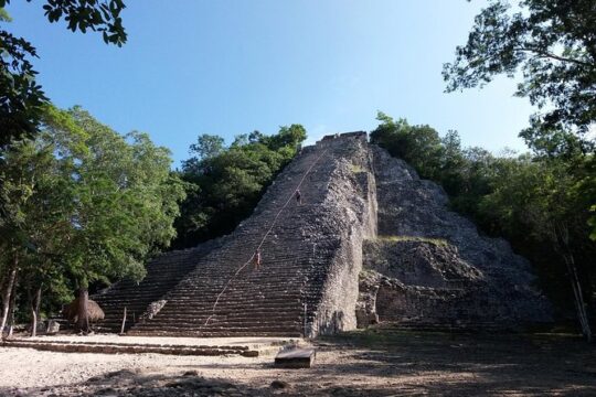 Private Coba with a Local Expert