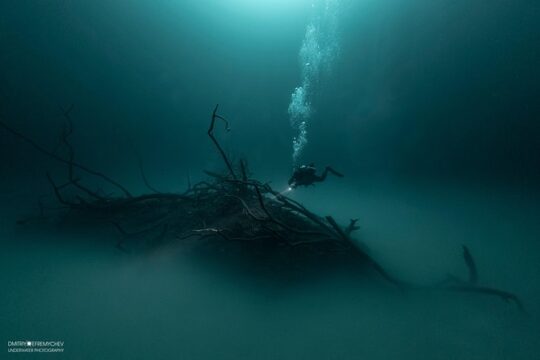 Diving in Angelita and Casa Cenotes from Riviera Maya