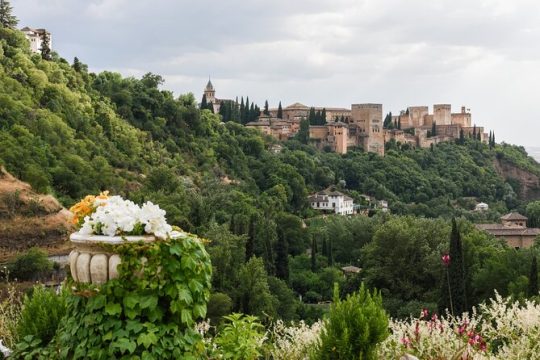 Alhambra gardens guided tour (English guide)
