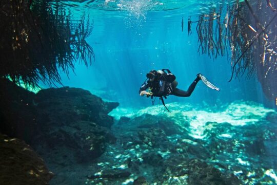 Try dive in beautiful Casa cenote for 2 people