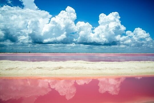 Full day tour to Rio Lagartos and Las Coloradas from Riviera Maya