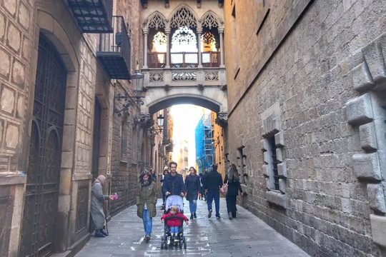 Barcelona in a Day for Kids and Families with Sagrada Familia and Gothic Area