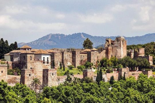 Malaga private tours and excursions from Granada for up to 8 persons