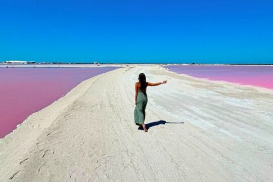 Tour to Rio Lagartos and Coloradas with Lunch from Riviera Maya