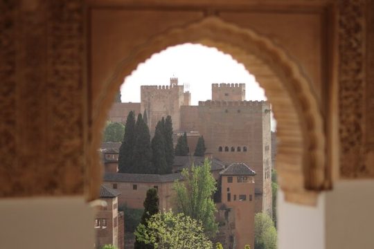 Alhambra Premium Private Tour with tickets