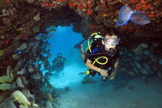 Discover Scuba Diving Course in Playa del Carmen with Two Coral Reef Dives