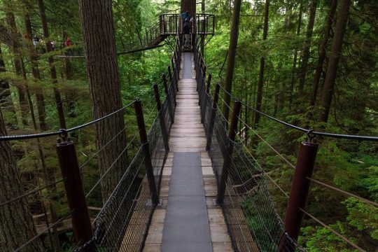Private Grouse Mountain and Capilano Park Tour in Vancouver