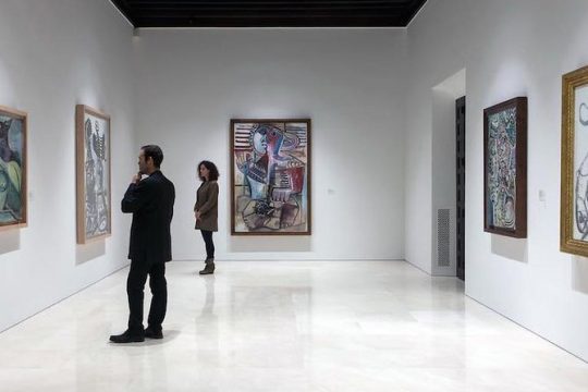 Málaga Picasso Museum Private Guided Tour
