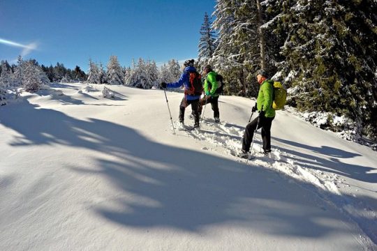 Snowshoes in the Pyrenees from Barcelona - Private Tour