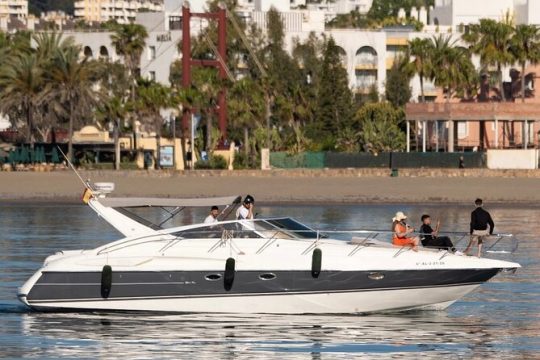 Cruise Experience in Puerto Banús with Dolphin Watching