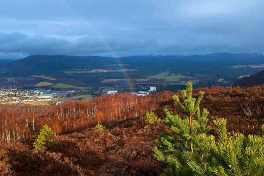 Private Cairngorm National Park tour