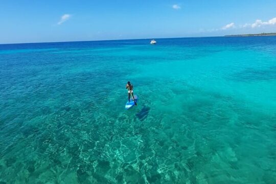 4-Hour Private 40' Luxury Catamaran Tour with Food, Open Bar & Snorkeling