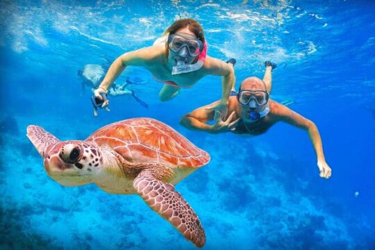 Private Guided Tour To Tulum Ruins, Snorkel With Turtles & Tacos