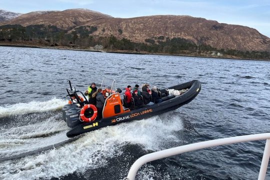 Loch Linnhe Rib Adventures in Aurora