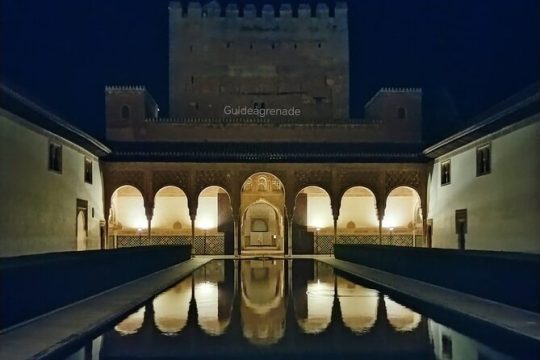 Night Tour of Alhambra and the Nasrid Palaces