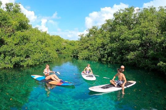 Paddle and Snorkel in Cenote - Riviera Maya