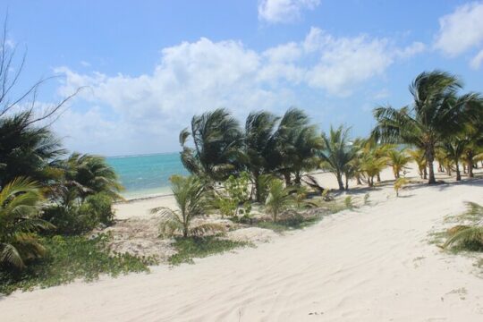 Peaceful experience at the best beach club in Riviera Maya