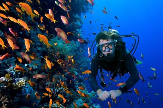 2 Tank Dive in Cozumel