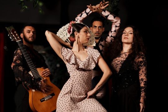 Authentic Flamenco Live Show With Wine on Paseo de Gracia