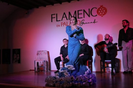 Skip-the-Line Ticket to Flamenco Show at Palacio Granada