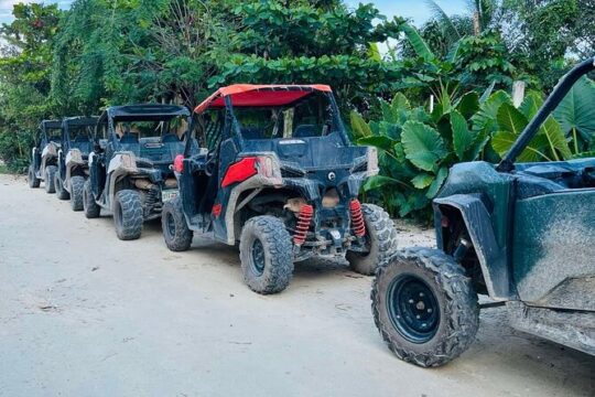 Bike and Buggy Excursion to Cenote Maya with Atypical Meal