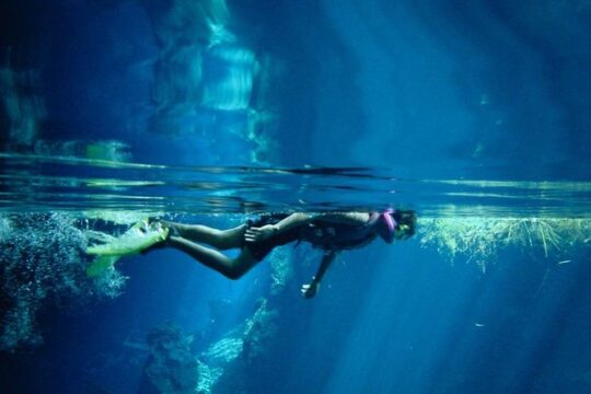 Cozumel Snorkeling Tour from Playa del Carmen