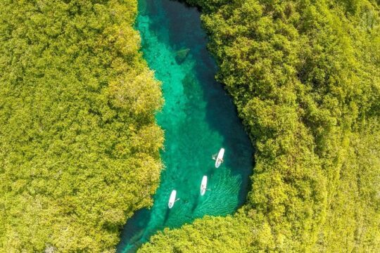 Private SUP & Snorkel Tour To Casa Cenote & Our Favorite Tacos :)