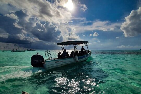 Cozumel El Cielo Tour by Boat from Playa del Carmen & Transfer