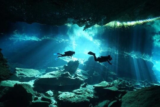 Tulum Cenote Dive Two Eyes Experience