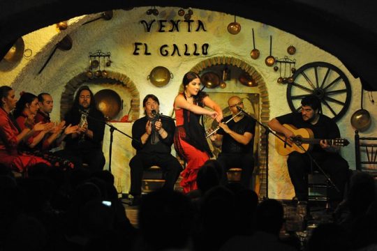 Granada day and night: Complete Alhambra and Flamenco Show in natural cave