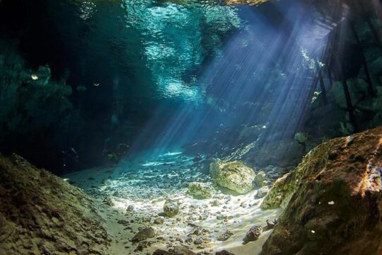 Cenotes diving