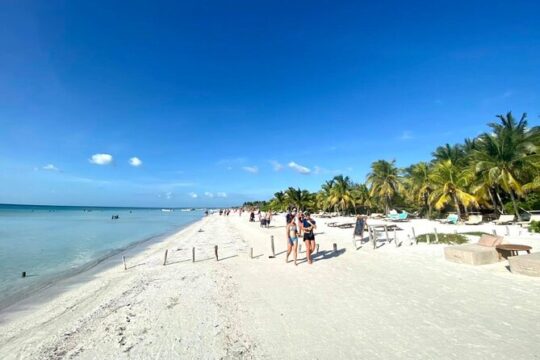 Beach Tour at Holbox! Punta Cocos + Round Transportation From Playa Del Carmen