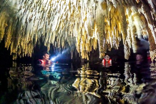 Half Day Cenote Cave and Swimming with Turtles Tour in Akumal