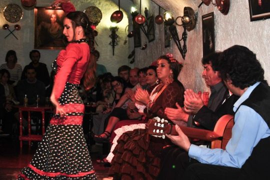 Tapas & Flamenco Private Tour - Tapas, Wine & Flamenco Show