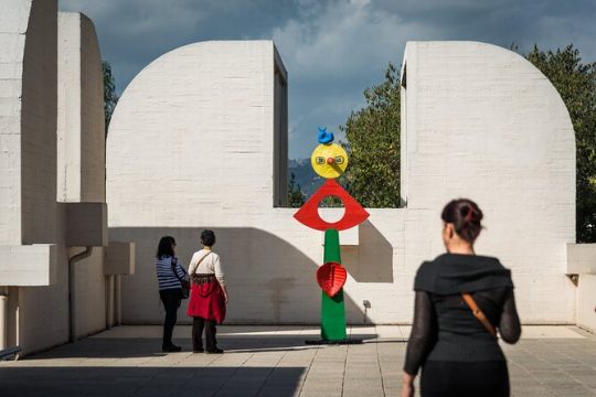 Skip-the-line access ticket to Fundación Miró