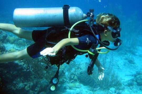 Discover Scuba Diving PADI in Playa del Carmen including underwater video