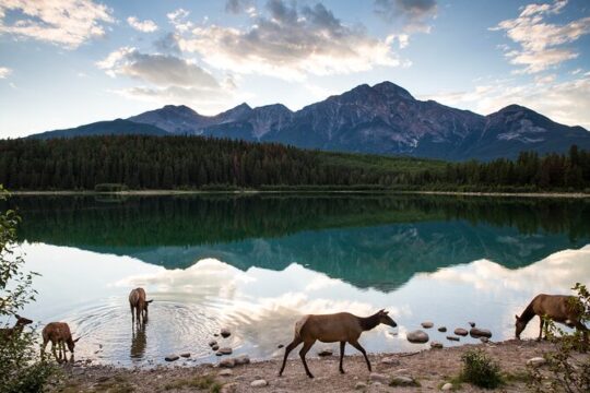Private Tour: The Best of Banff National Park - Full Day