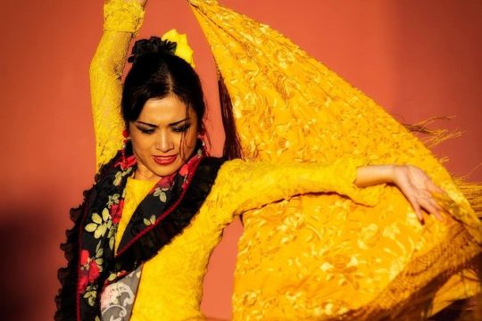 Flamenco Marbella Authentic Show