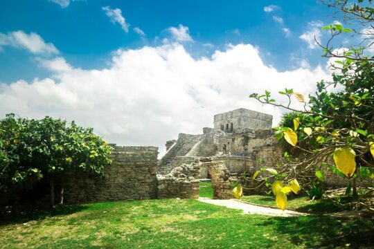 Tulum Ruins with Cave Cenote Tour and Turtles Encounter in Akumal