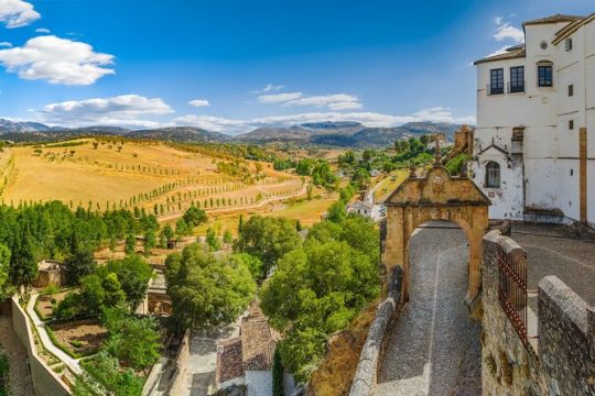 Full-Day Private Ronda Wine Tour Experience from Marbella