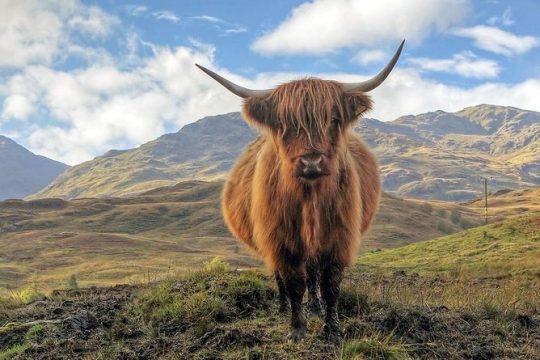 Cairngorm Mountains Full Day Private Tour from Inverness